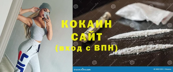индика Балахна