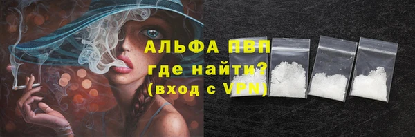 индика Балахна