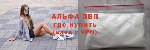индика Балахна