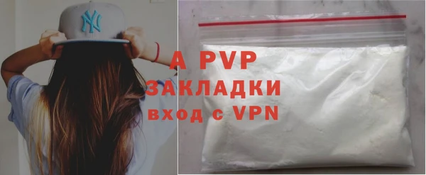 индика Балахна