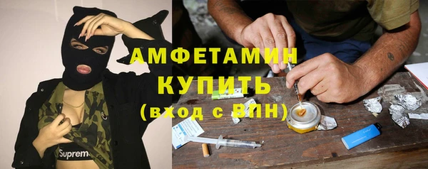 индика Балахна